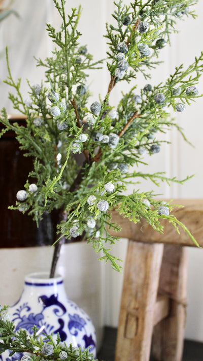 Juniper Berry Spray