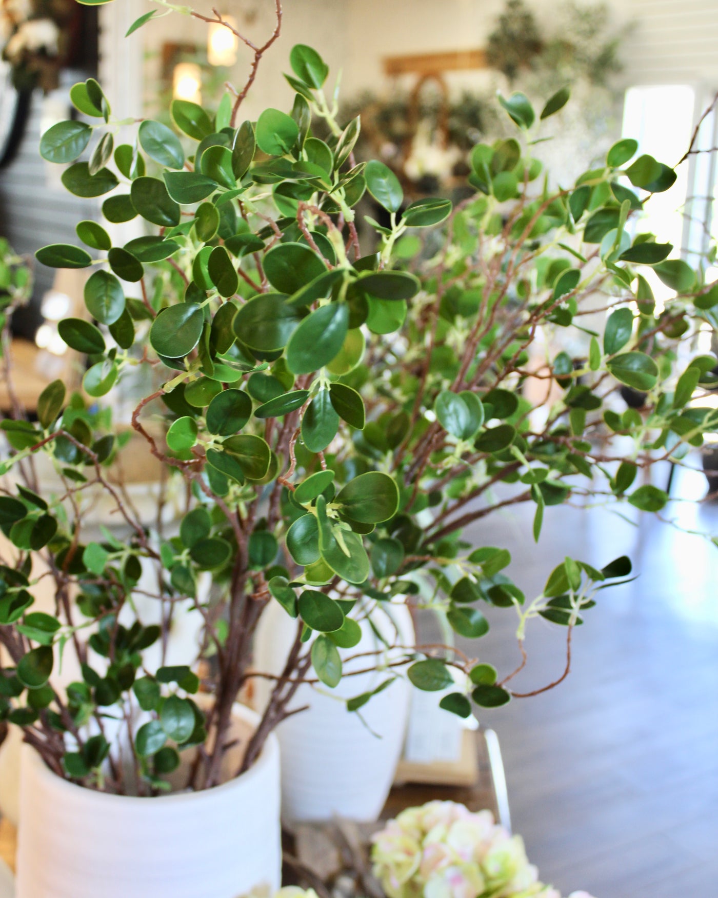 Mini Leaf Ficus Spray