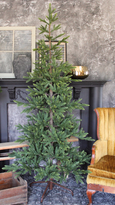 7’ Balsam Fir Tree