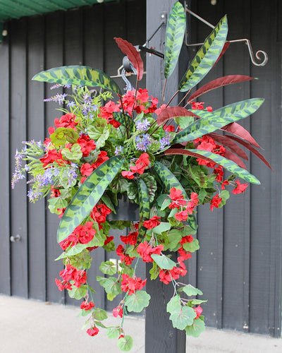 Hanging Basket/Drop-In Red