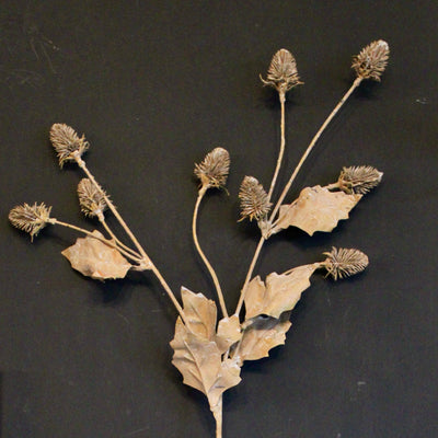 Faux Dried Thistle Spray