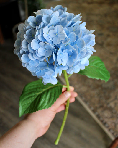 Powder Blue Hydrangea Stem