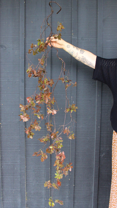 72” Laurel Leaf Garland