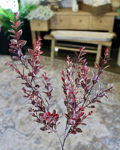 Burgundy Euonymus Spray