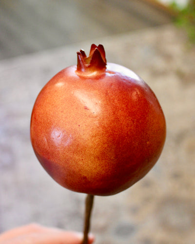 Pomegranate (On Stem)