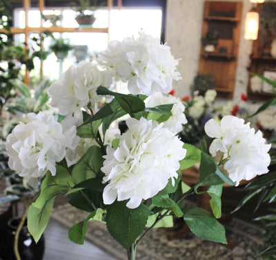 White Hydrangea Bush