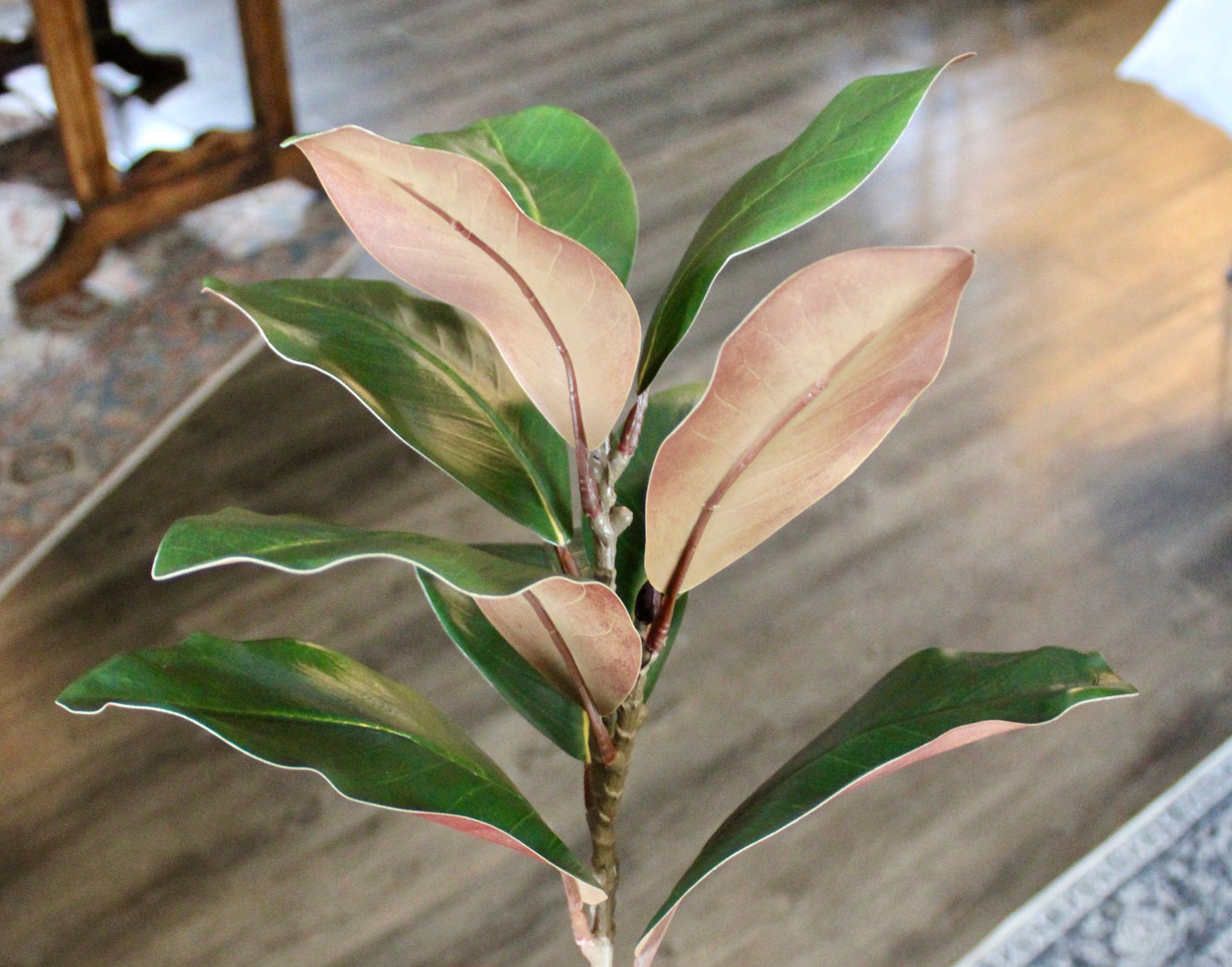 Magnolia Spray
