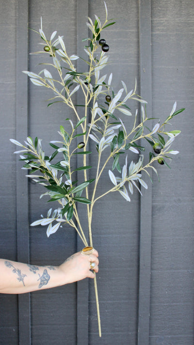 Olive Spray