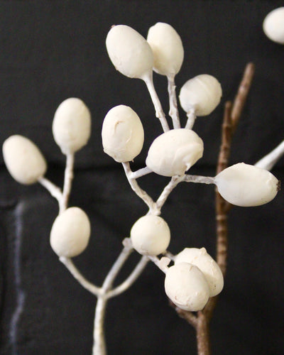 “Dried Look” Cream Hypericum Berry Spray