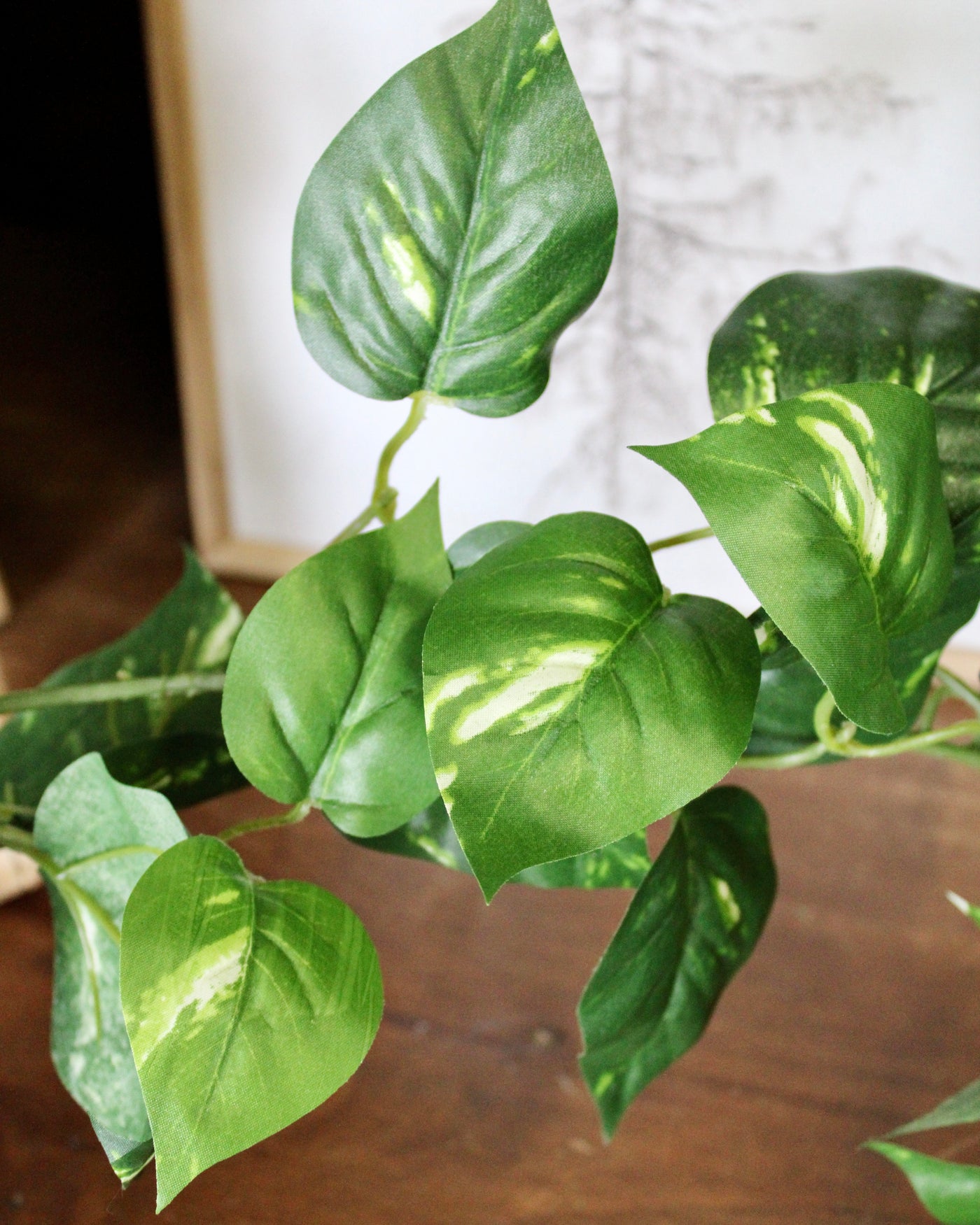 6’ Pothos Garland