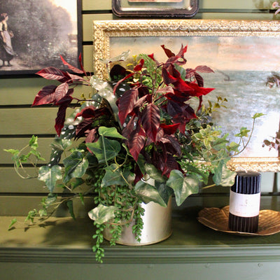 Burgundy Mixed Plant Arrangement