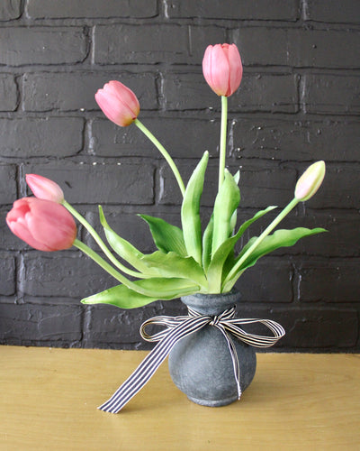 Potted Tulips