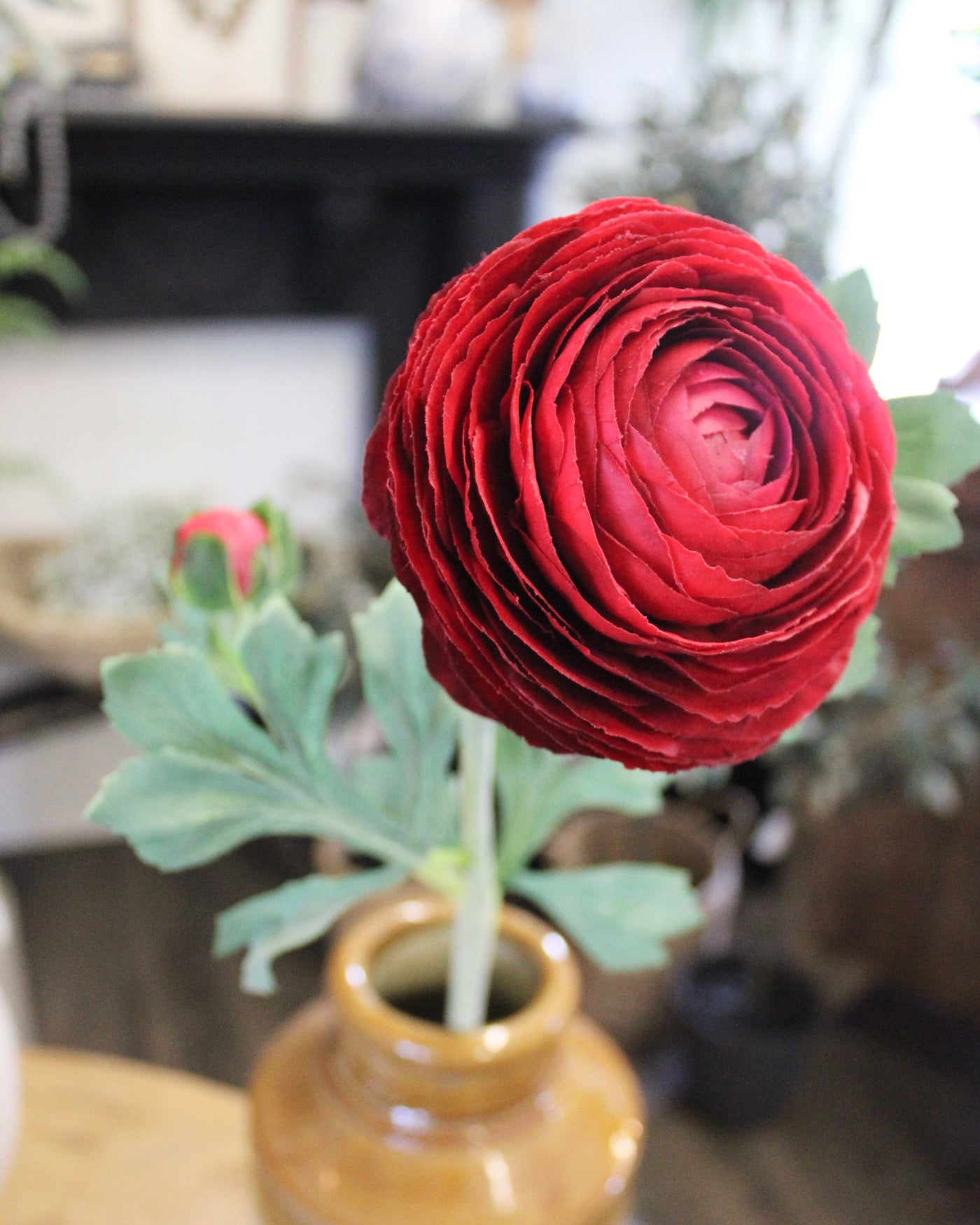 Deep Red Ranunculus Stem