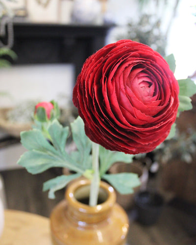 Deep Red Ranunculus Stem