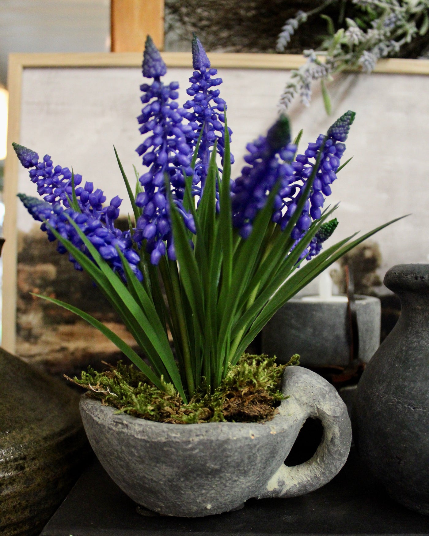 Periwinkle Grape Hyacinth Bundle