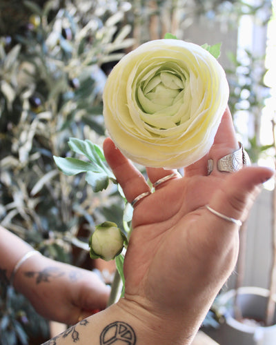 Cream Ranunculus Stem