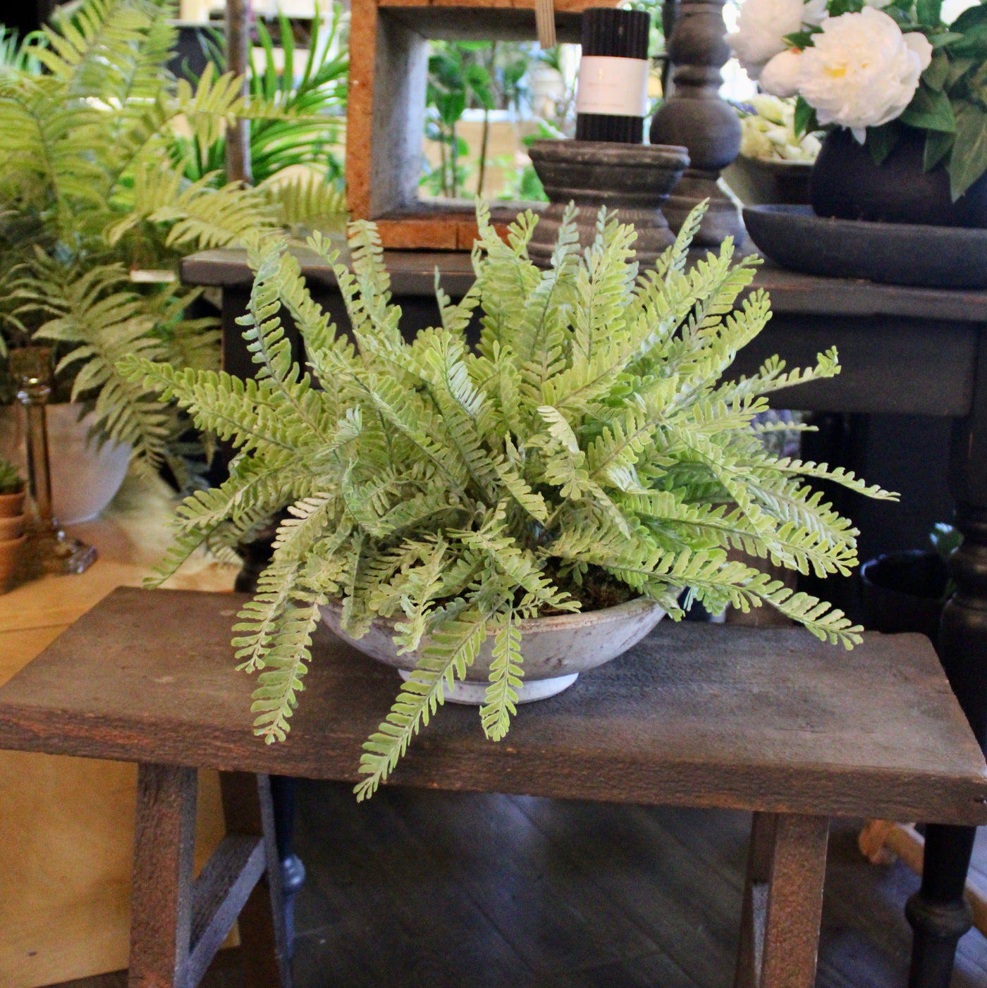 Frosted Fern Bowl
