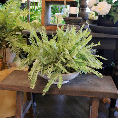 Frosted Fern Bowl