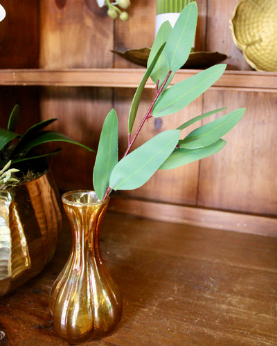 Willow Eucalyptus Stem (Unseeded)
