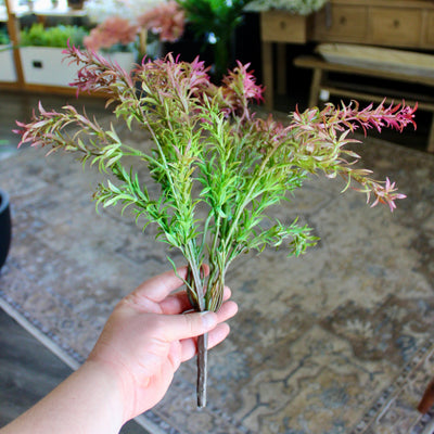 Burgundy & Green Sage Bush