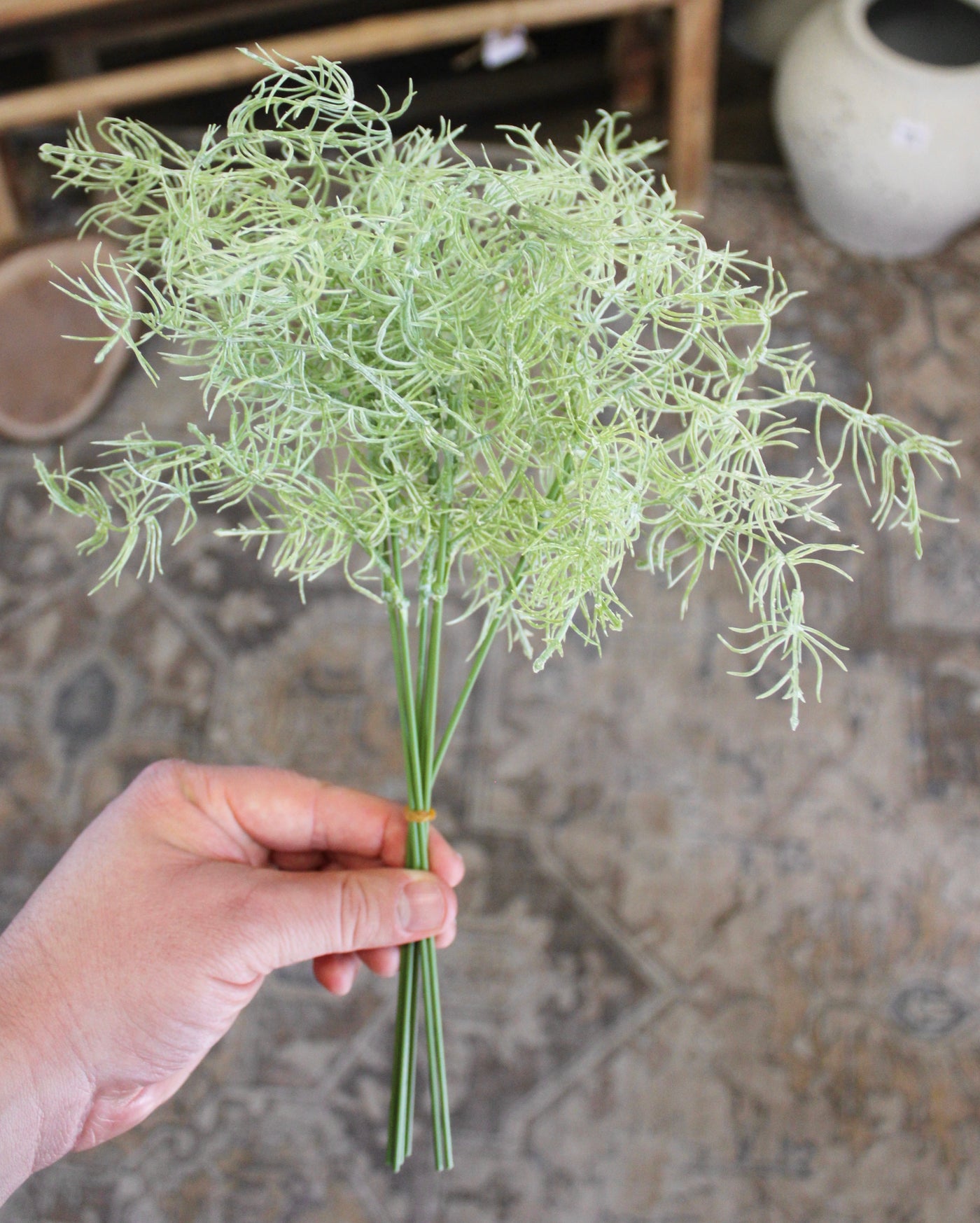 Mini Asparagus Bush