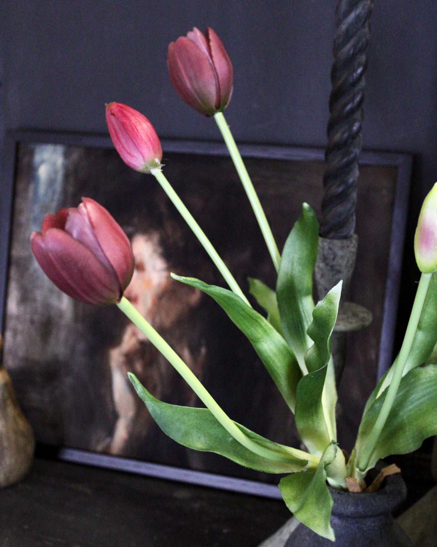 Purple Tulip Bundle (5 Stems)