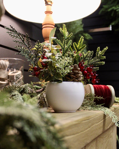 Potted Mini Red Berry & Pine Cone Arrangement