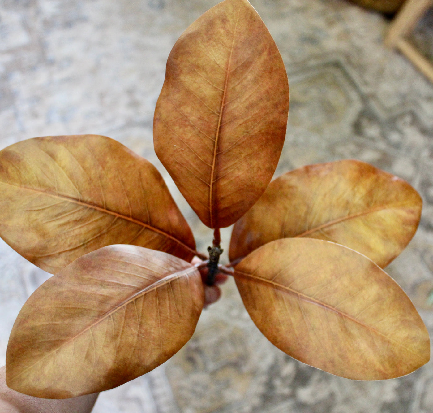 Brown Magnolia Spray
