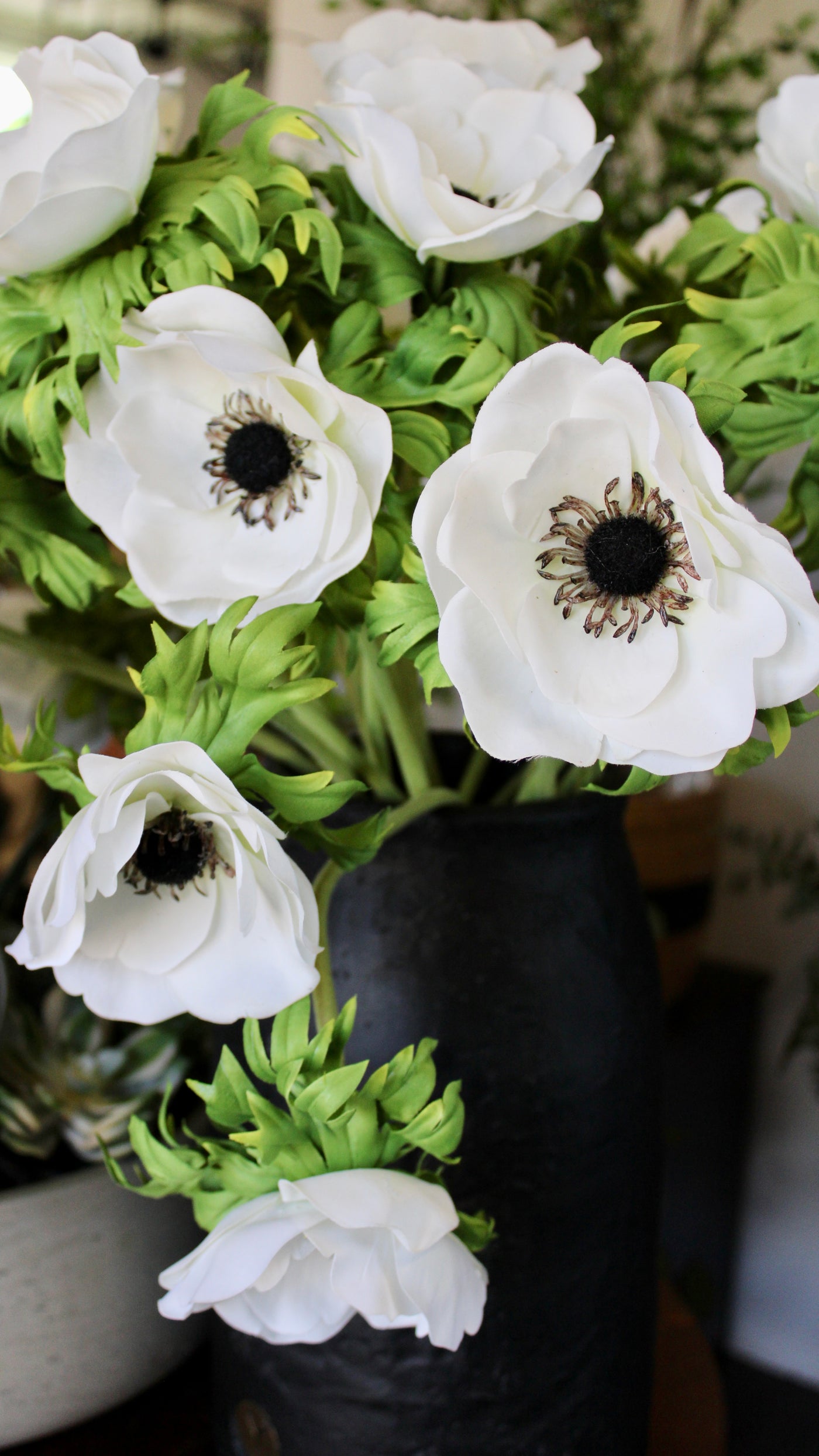 White Anenome Stem