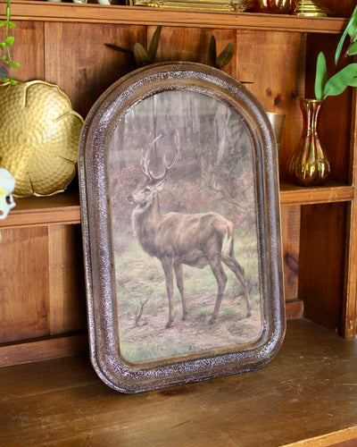 Arched Frame Stag Paintings