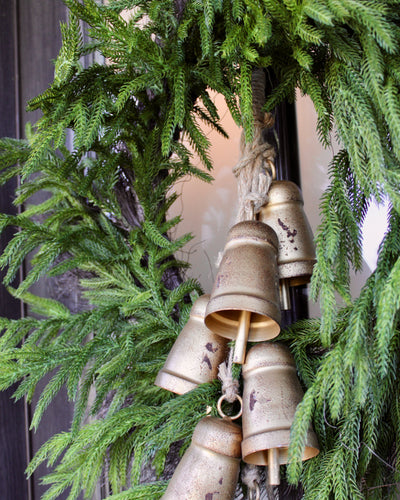 24" Norfolk Pine Wreath with Twig Backing (Real Touch)