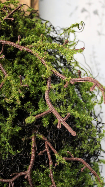 Moss Wreath