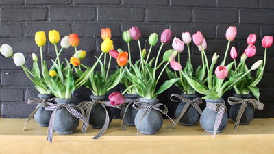 Potted Tulips