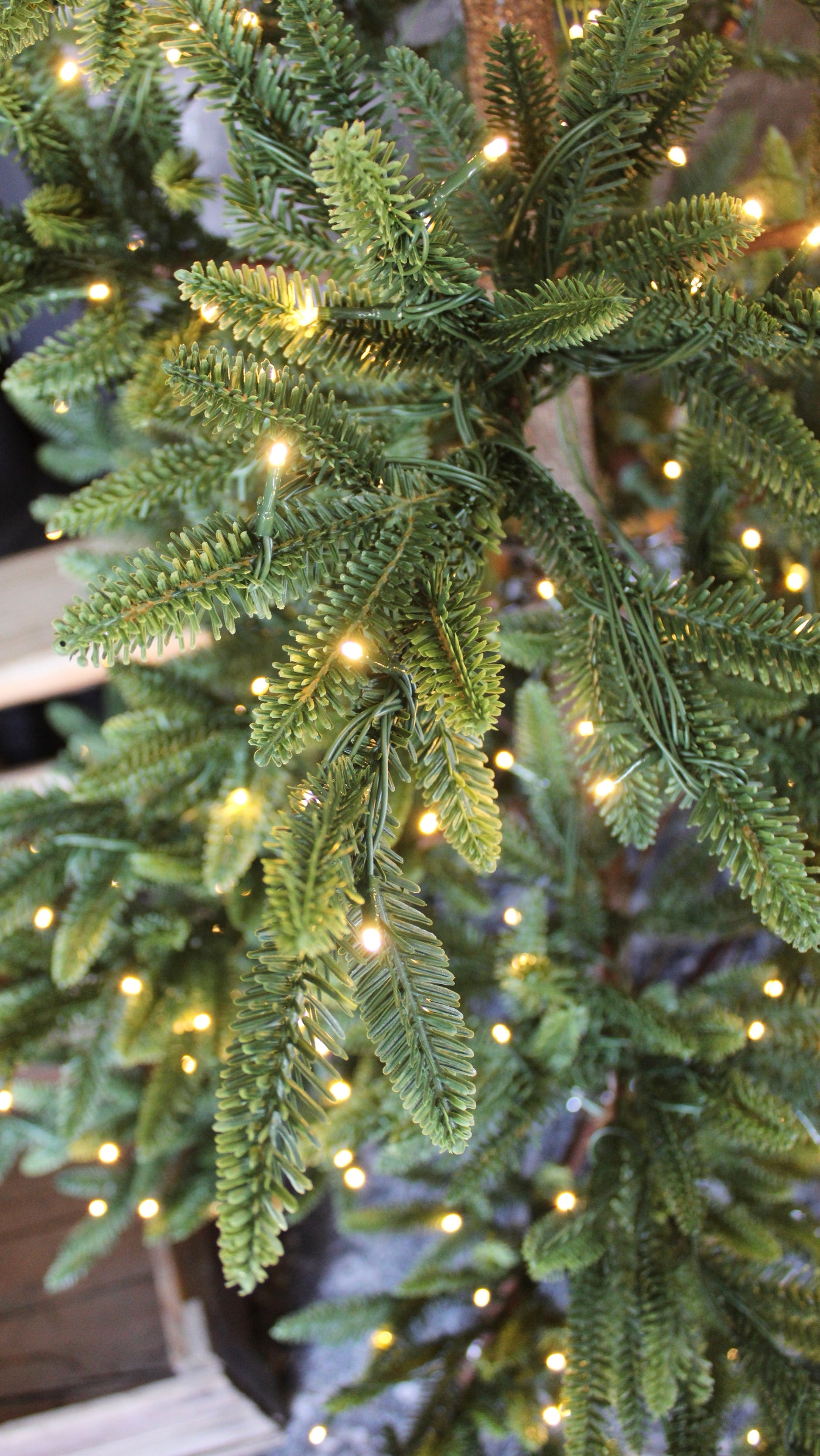 7’ Balsam Fir Tree