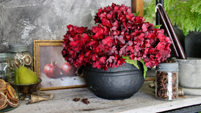 Burgundy Hydrangea Stem