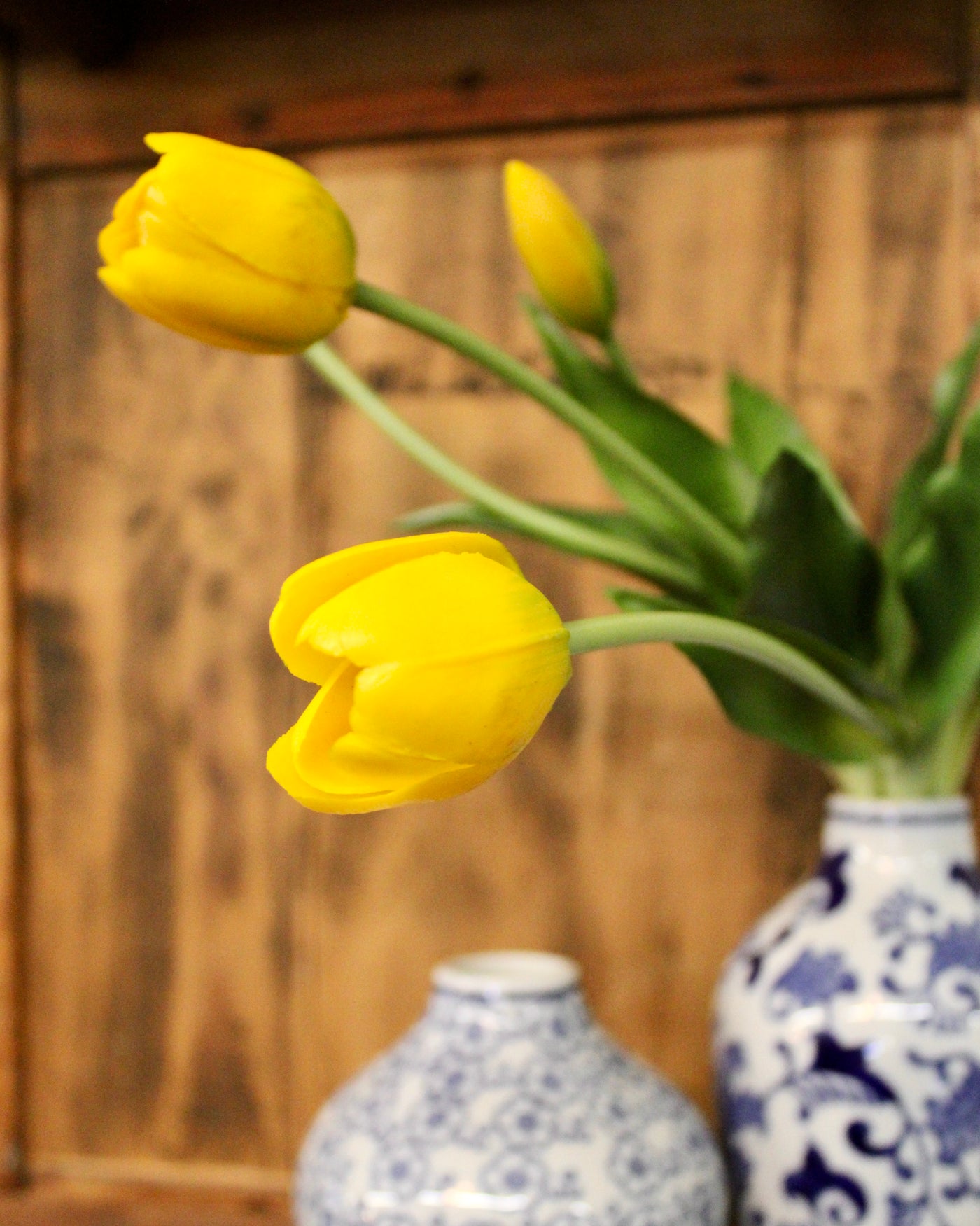 Yellow Tulip Bundle (5 Stems)