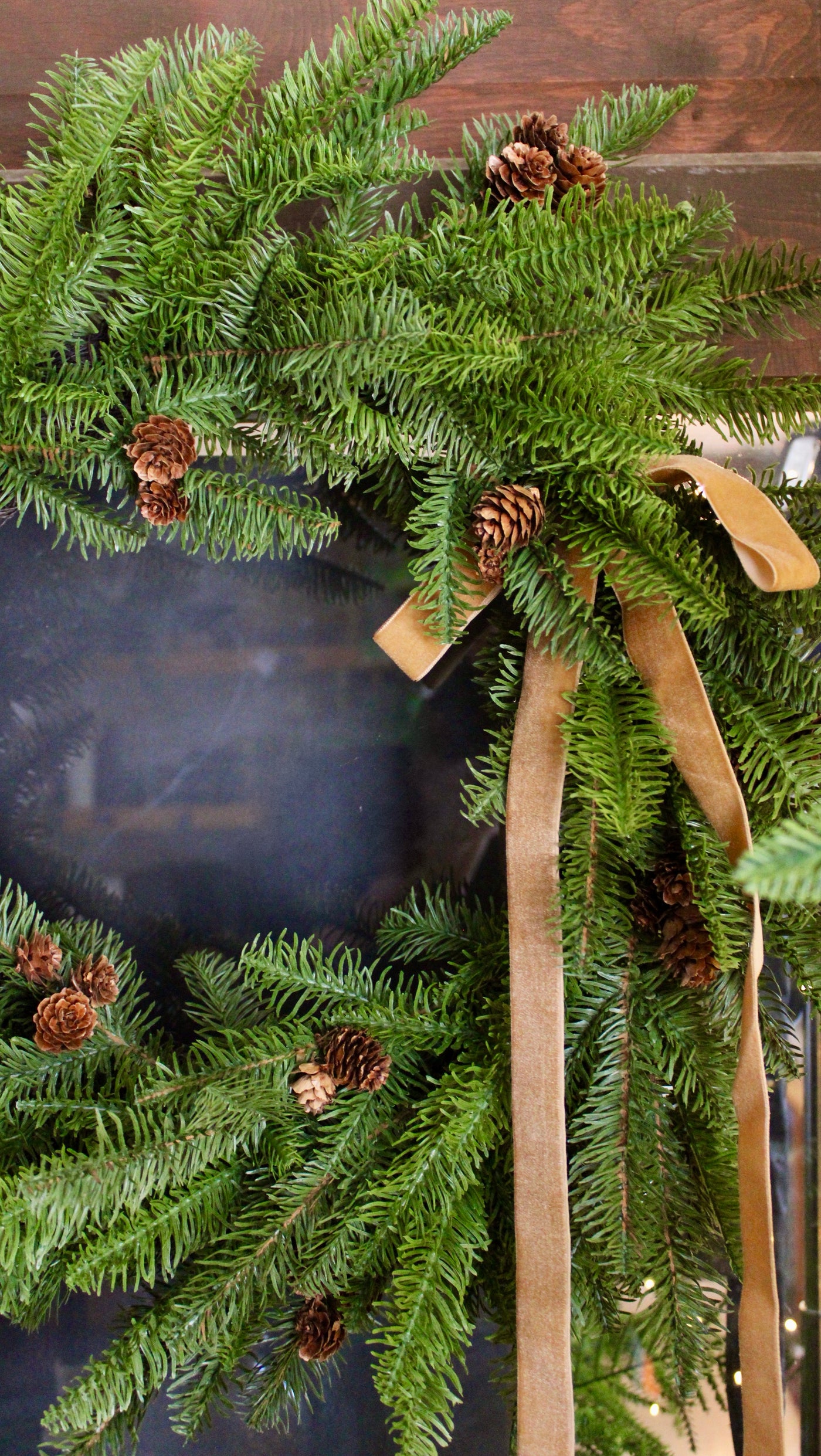 1” Velvet Ribbon Bows - 24” Long