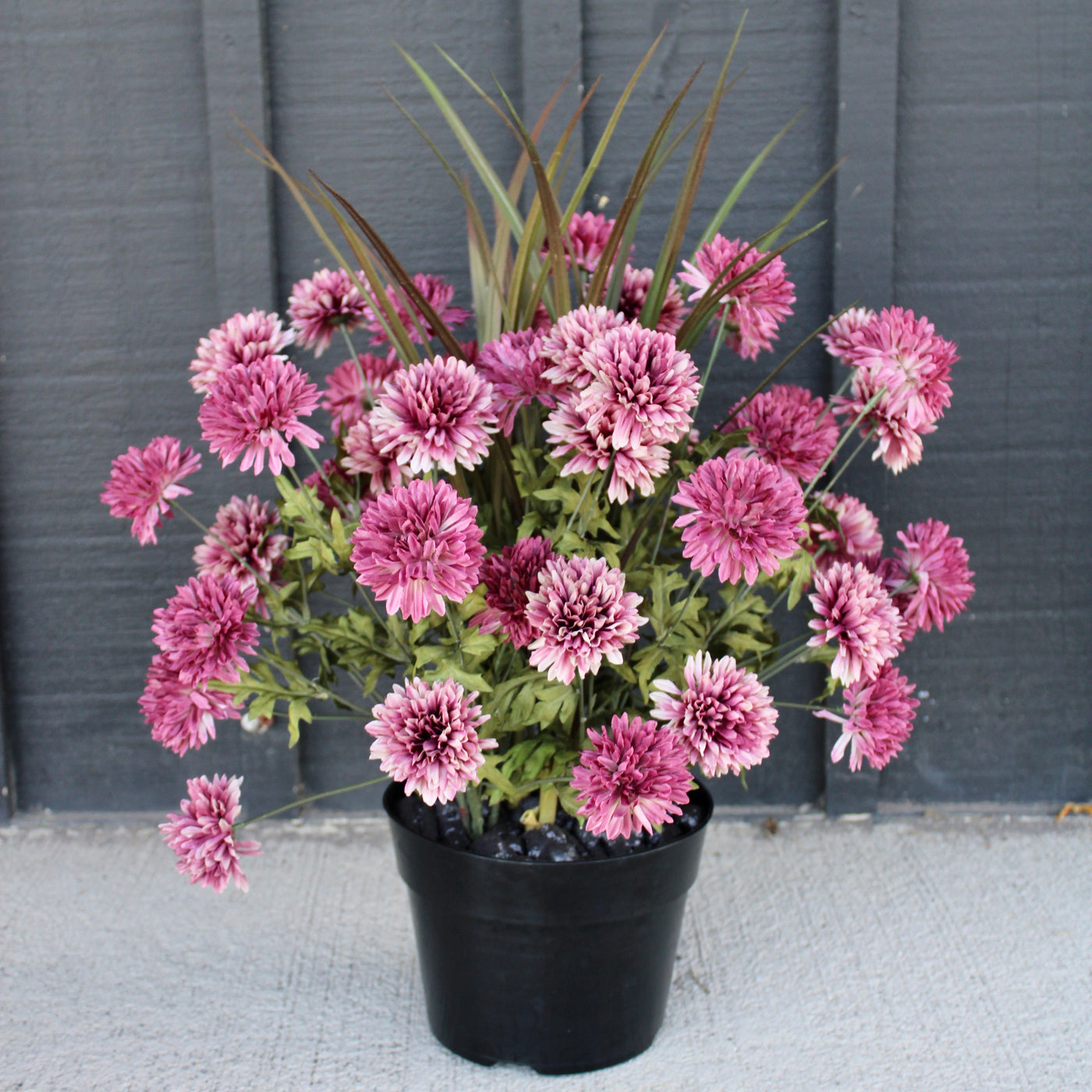 Mauve Mum “Drop-In”