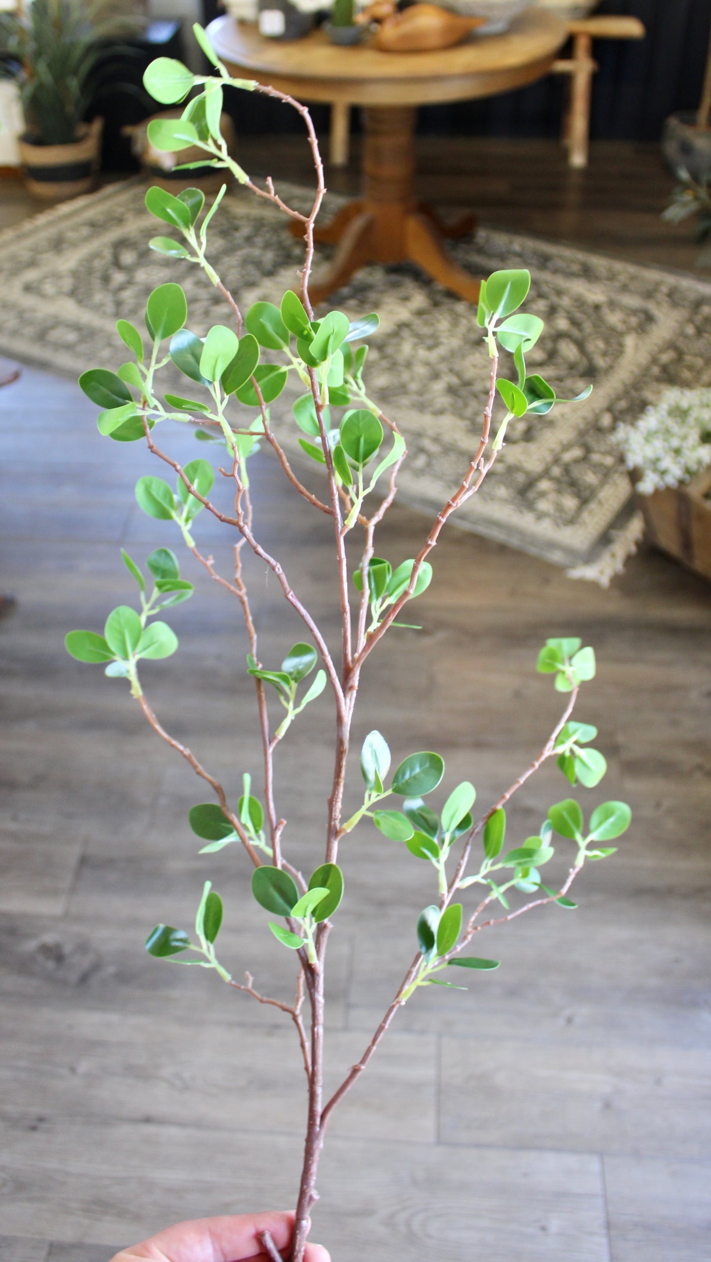 Mini Leaf Ficus Spray