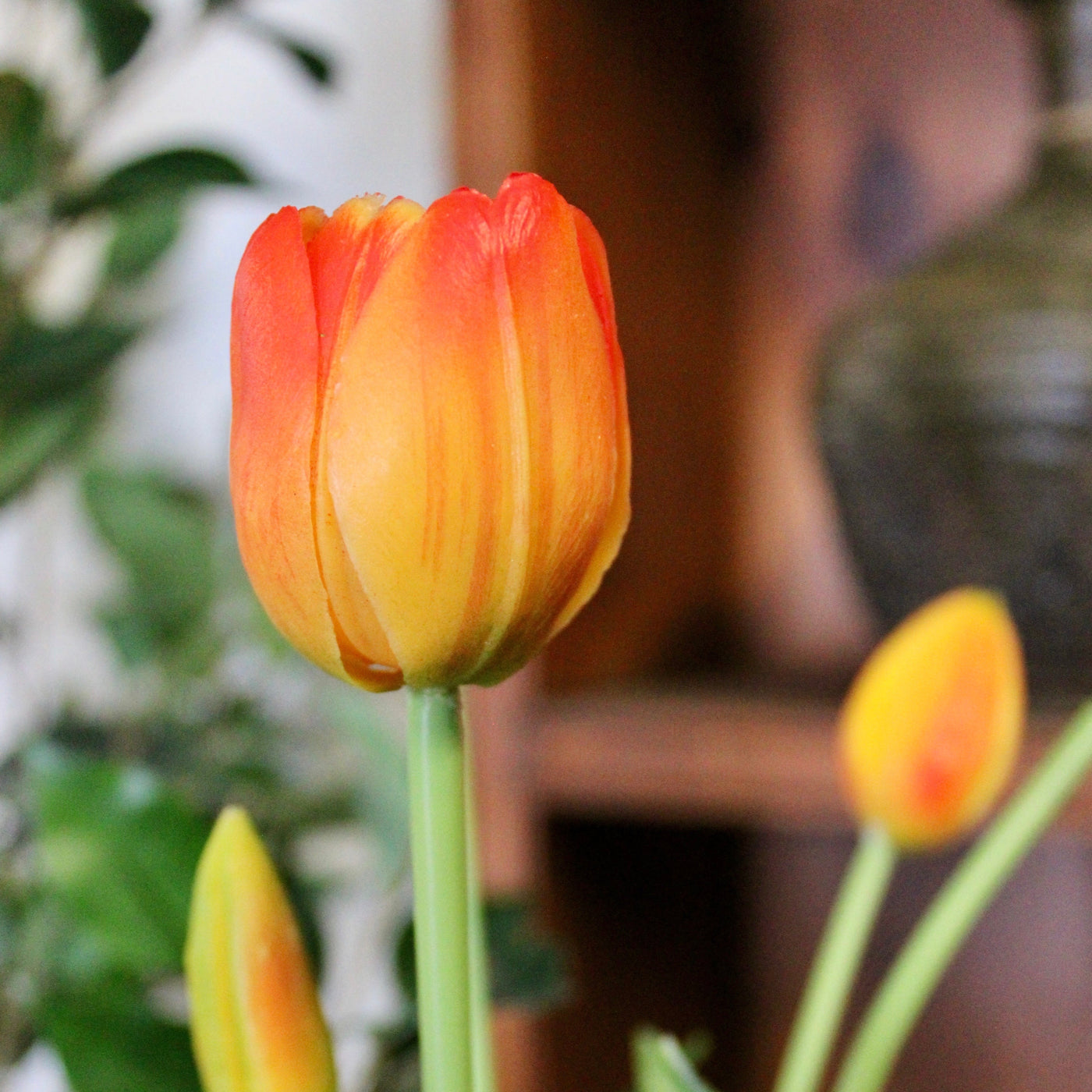 Orange Tulip Bundle (5 Stems)