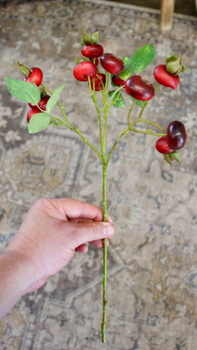 Rose Hip Branch