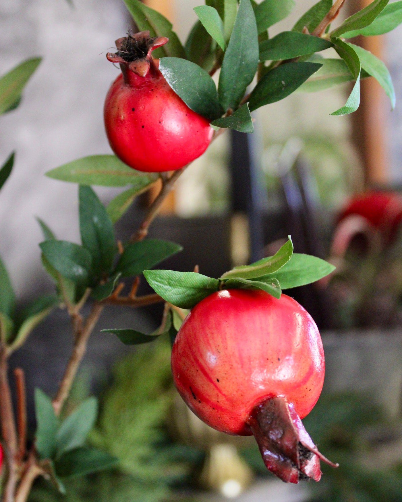 Pomegranate Branch