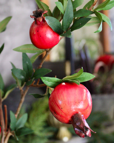 Pomegranate Branch