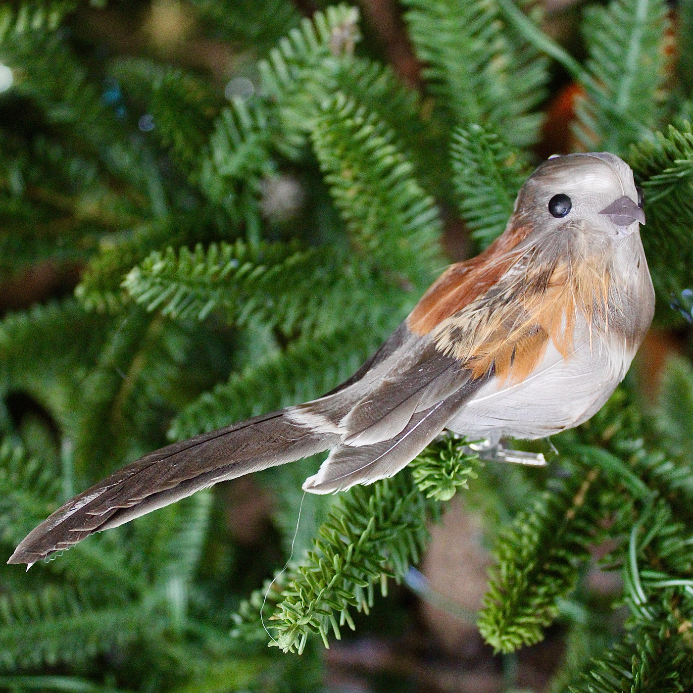 Long Tail Bird Ornaments