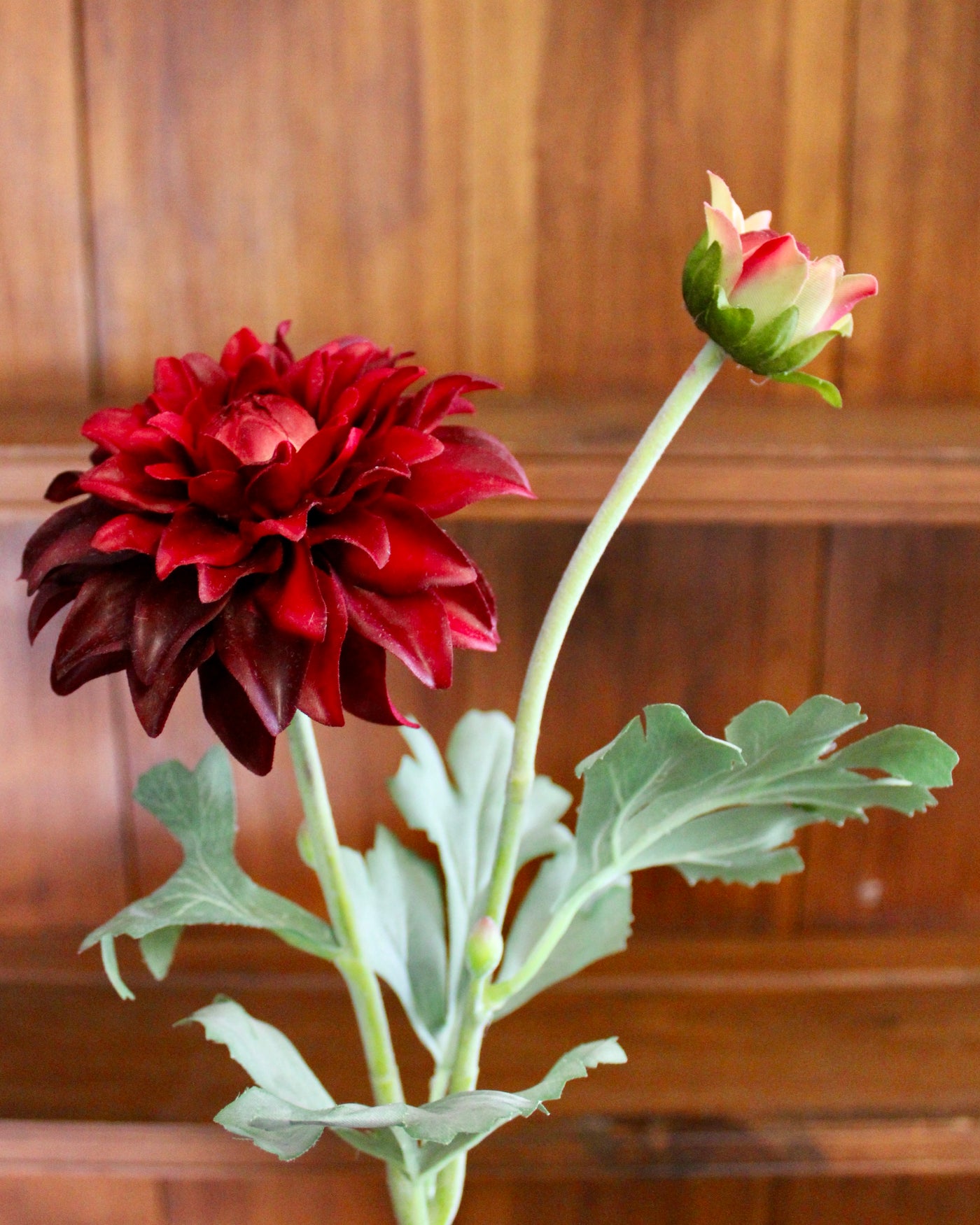 Burgundy Dahlia Spray