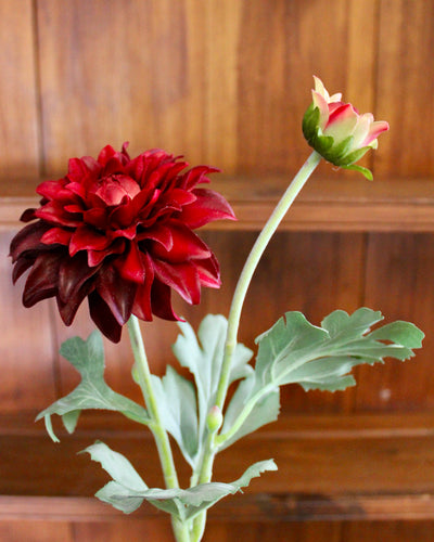 Burgundy Dahlia Spray