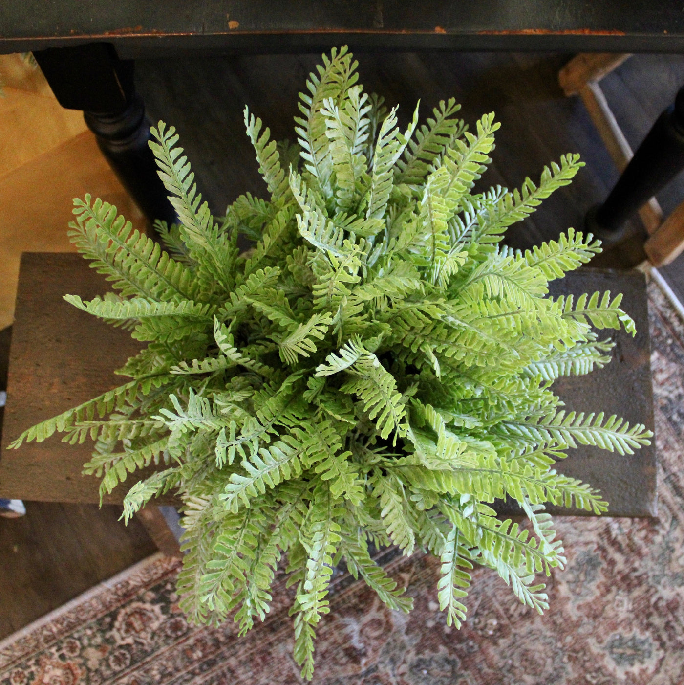 Frosted Fern Bowl