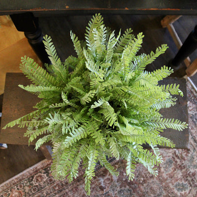 Frosted Fern Bowl
