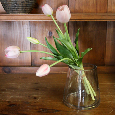 Blush Tulip Bundle (5 Stems)