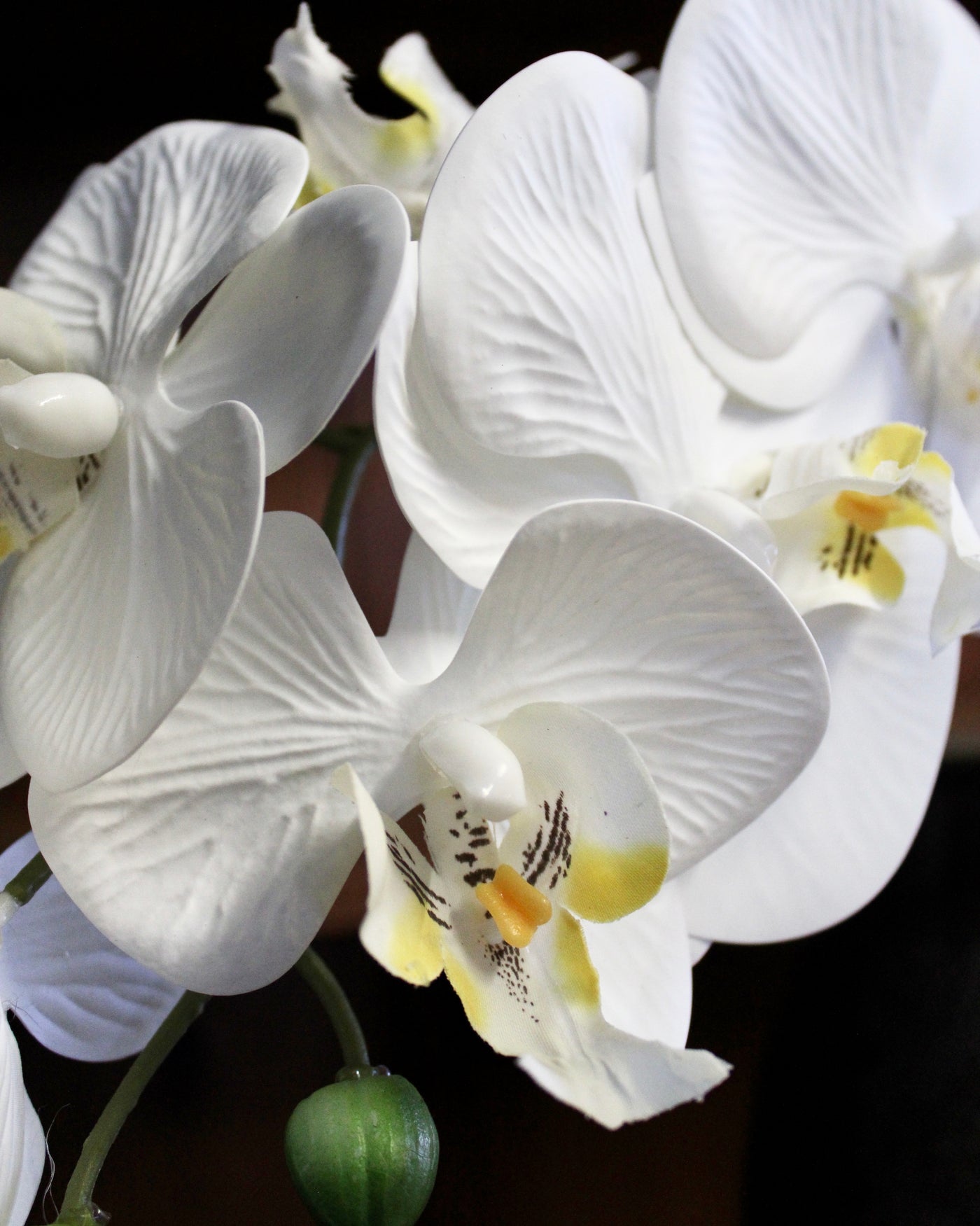 White Natural Touch Phalaenopsis Orchid